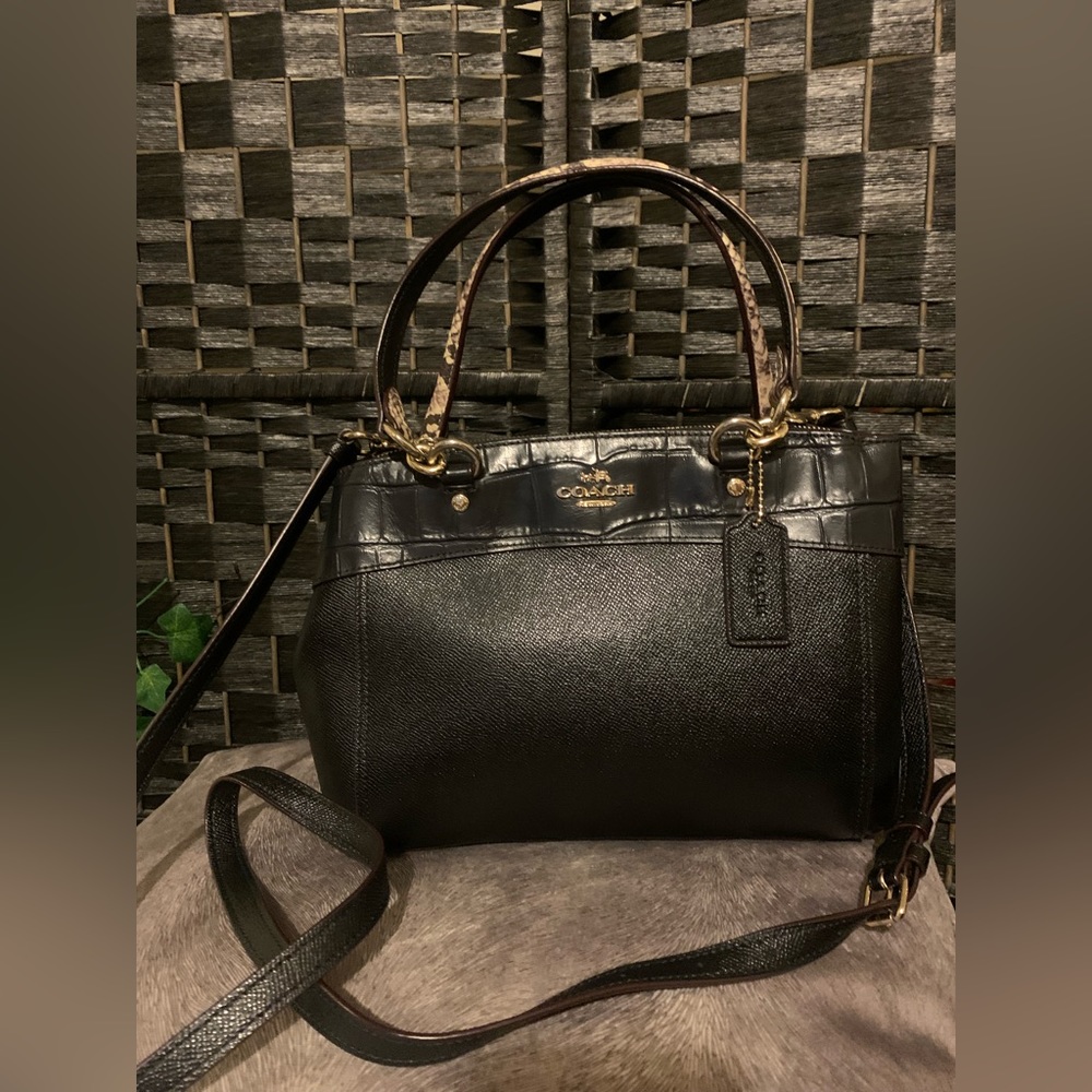 Coach mini Brooke carryall